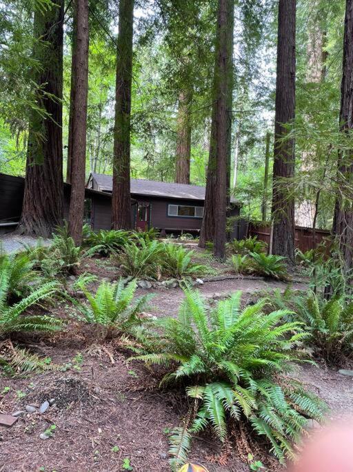The Groves At Redway Beach - Studio Exterior foto